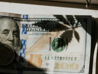 Expanding Wealth Options: The Rise investment strategy visualization