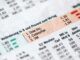 International Investment Opportunities: Essential Strategies investment strategy visualization