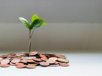 Timberland Investing: Essential Insights for investment strategy visualization