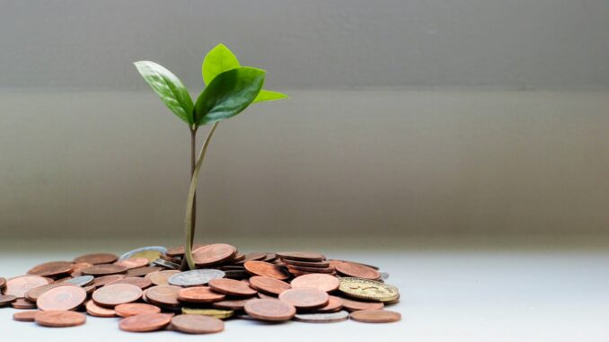 Timberland Investing: Essential Insights for investment strategy visualization
