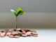 Timberland Investing: Essential Insights for investment strategy visualization